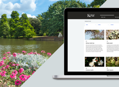 kew-header.png